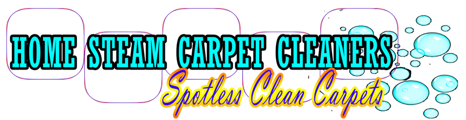 Home Steam Carpet Cleaners